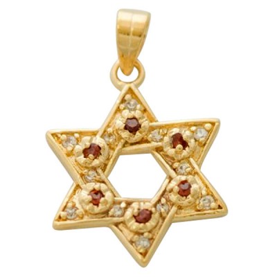 Gold Filled Star of David Garnet Pendant